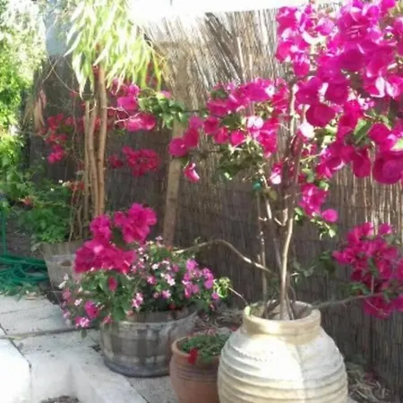Summer House Hotel Katarrakhion